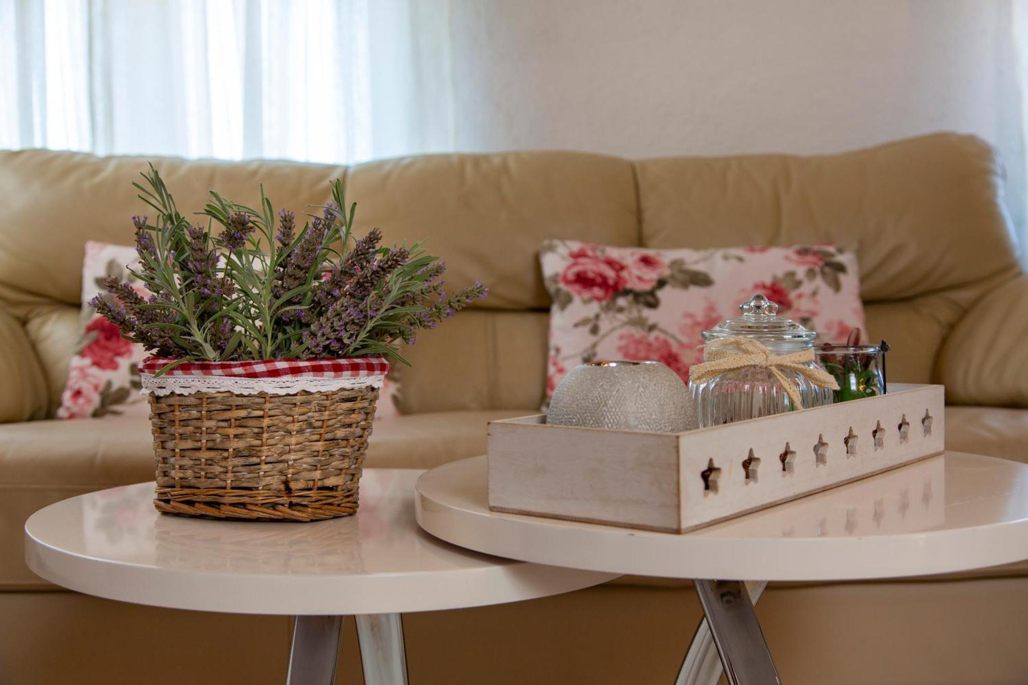 Apartman Viki Stinjan プーラ エクステリア 写真